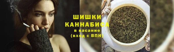 ГАЛЛЮЦИНОГЕННЫЕ ГРИБЫ Саяногорск