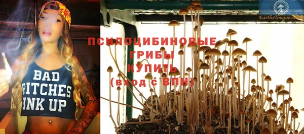 ГАЛЛЮЦИНОГЕННЫЕ ГРИБЫ Саяногорск