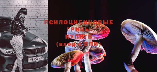 эйфоретик Ростов