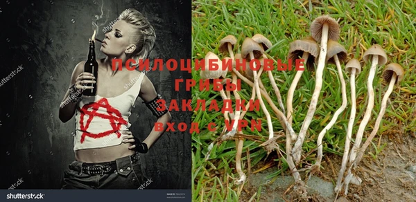 альфа пвп Россошь