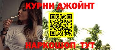 сатива Гусев