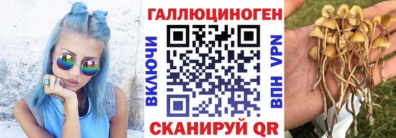 сколько стоит  Иркутск  Галлюциногенные грибы Cubensis 