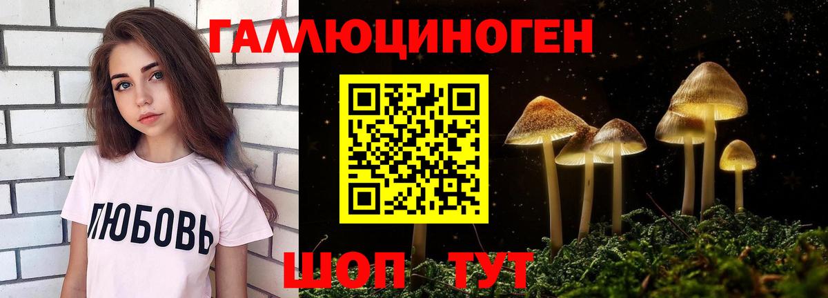 Галлюциногенные грибы Psilocybine cubensis  Вход с VPN  Иркутск 